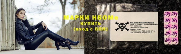 гашик Белокуриха