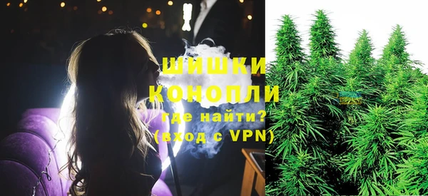 гашик Белокуриха