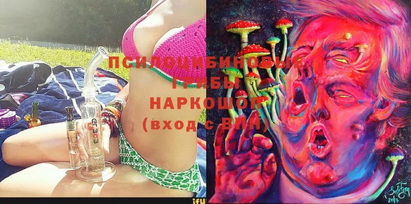 гашик Белокуриха