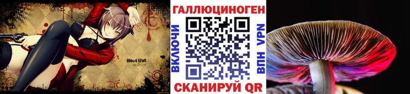 где купить наркоту  Минеральные Воды  Псилоцибиновые грибы мухоморы 