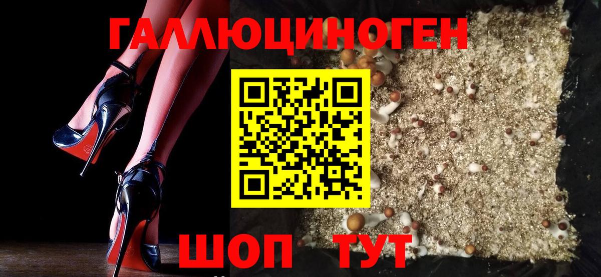 Галлюциногенные грибы Magic Shrooms Минеральные Воды