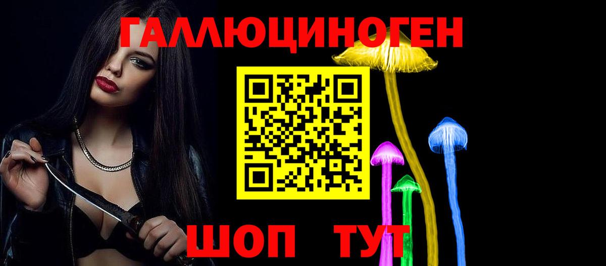 Псилоцибиновые грибы Psilocybe  Вход с VPN  Минеральные Воды  Псилоцибиновые грибы Psilocybe 